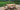 SUMMER UPDATE 2021