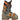 TECNICA Mach1 Jr. Ski Boots (2026)