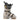 ROXA R/FIT HV 110 Ski Boots (2026)