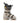 ROXA R/FIT HV 110 Ski Boots (2026)