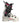 SALOMON S/Pro Supra Dual BOA 130 Ski Boots (2027)