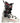 SALOMON S/Pro Supra S BOA 120 Ski Boots (2027)