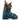 TECNICA Mach1 120 HV Ski Boots (2026)