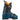 TECNICA Mach1 120 MV Ski Boots (2026)