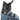 SALOMON T3 RT Ski Boots (2026)