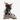 SALOMON S/Pro Supra Dual BOA 120 Ski Boots (2026)