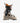 SALOMON S/Pro Supra Dual BOA 120 Ski Boots (2026)